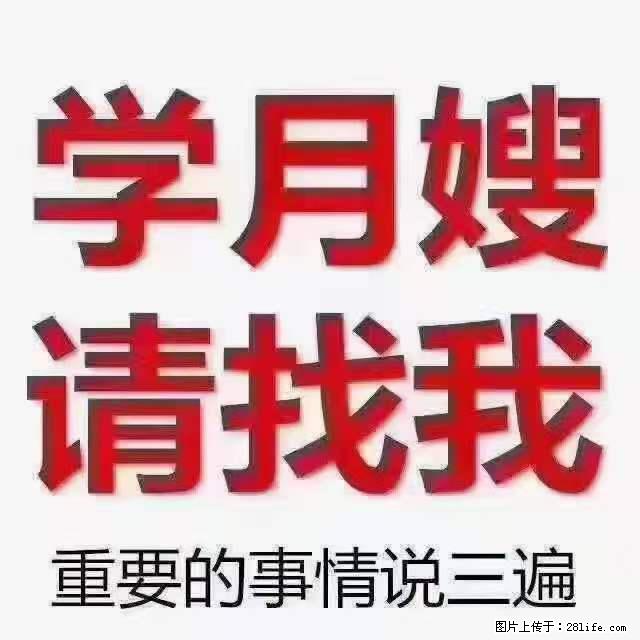 为什么要学习月嫂,育婴师? - 其他广告 - 广告专区 - 宜宾分类信息 - 宜宾28生活网 yb.28life.com