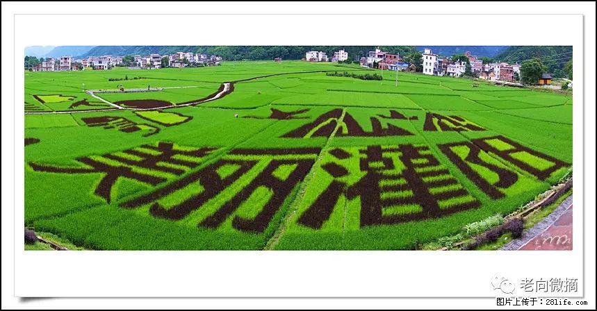 【春天,广西桂林灌阳县向您发出邀请!】开篇 - 游山玩水 - 宜宾生活社区 - 宜宾28生活网 yb.28life.com