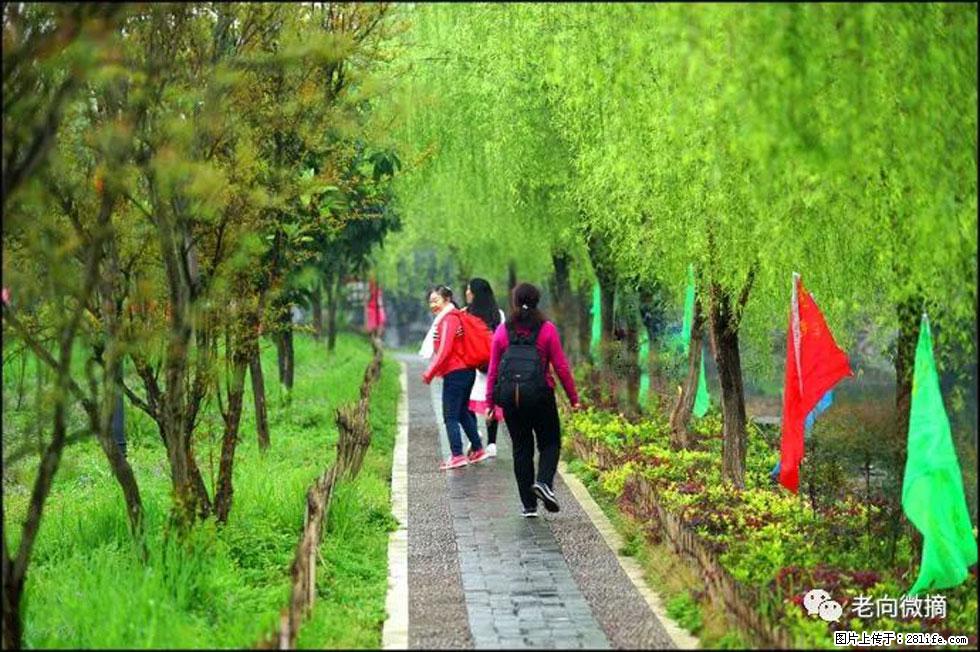 【春天,广西桂林灌阳县向您发出邀请!】江口老街又逢春 - 游山玩水 - 宜宾生活社区 - 宜宾28生活网 yb.28life.com