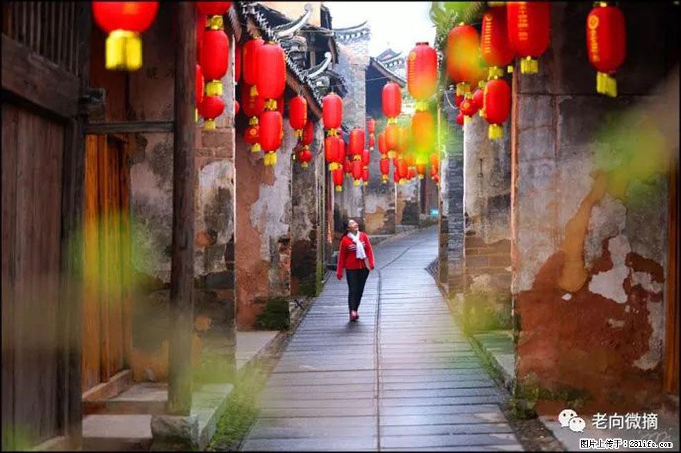 【春天,广西桂林灌阳县向您发出邀请!】江口老街又逢春 - 游山玩水 - 宜宾生活社区 - 宜宾28生活网 yb.28life.com