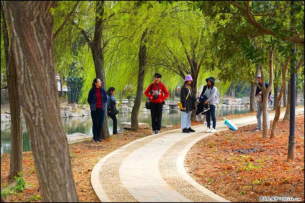 【春天,广西桂林灌阳县向您发出邀请!】江口老街又逢春 - 游山玩水 - 宜宾生活社区 - 宜宾28生活网 yb.28life.com