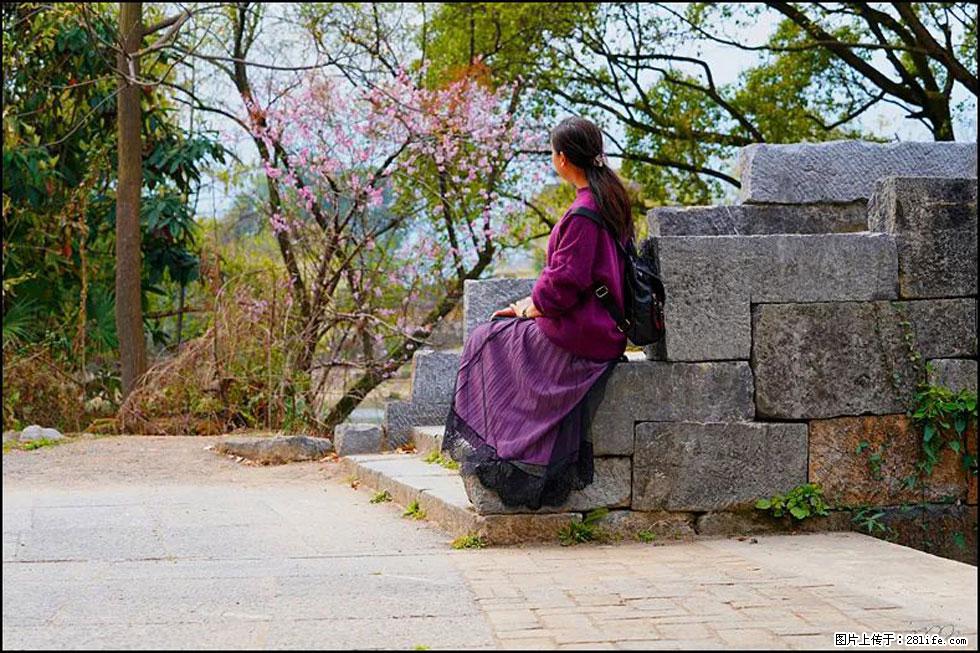 【春天,广西桂林灌阳县向您发出邀请!】江口老街又逢春 - 游山玩水 - 宜宾生活社区 - 宜宾28生活网 yb.28life.com