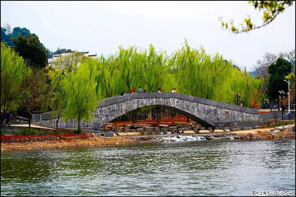 【春天,广西桂林灌阳县向您发出邀请!】江口老街又逢春 - 游山玩水 - 宜宾生活社区 - 宜宾28生活网 yb.28life.com