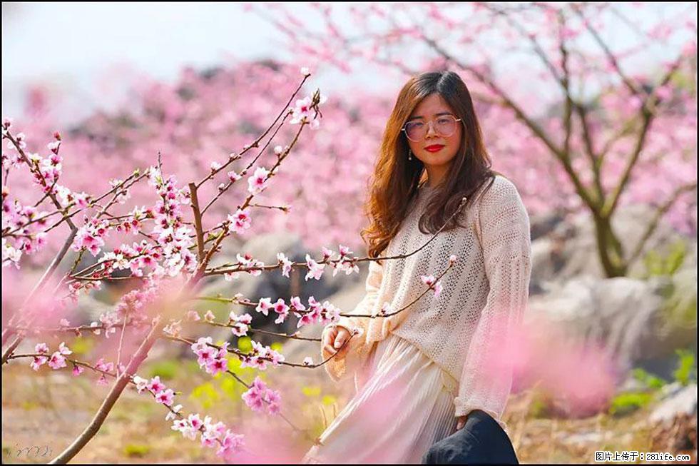 【春天,广西桂林灌阳县向您发出邀请!】望月岭上桃花开 - 游山玩水 - 宜宾生活社区 - 宜宾28生活网 yb.28life.com