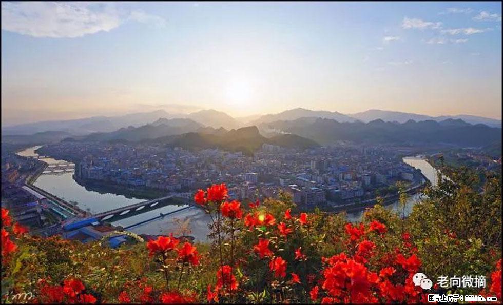 【春天,广西桂林灌阳县向您发出邀请!】登麒麟山,相约映山红 - 游山玩水 - 宜宾生活社区 - 宜宾28生活网 yb.28life.com