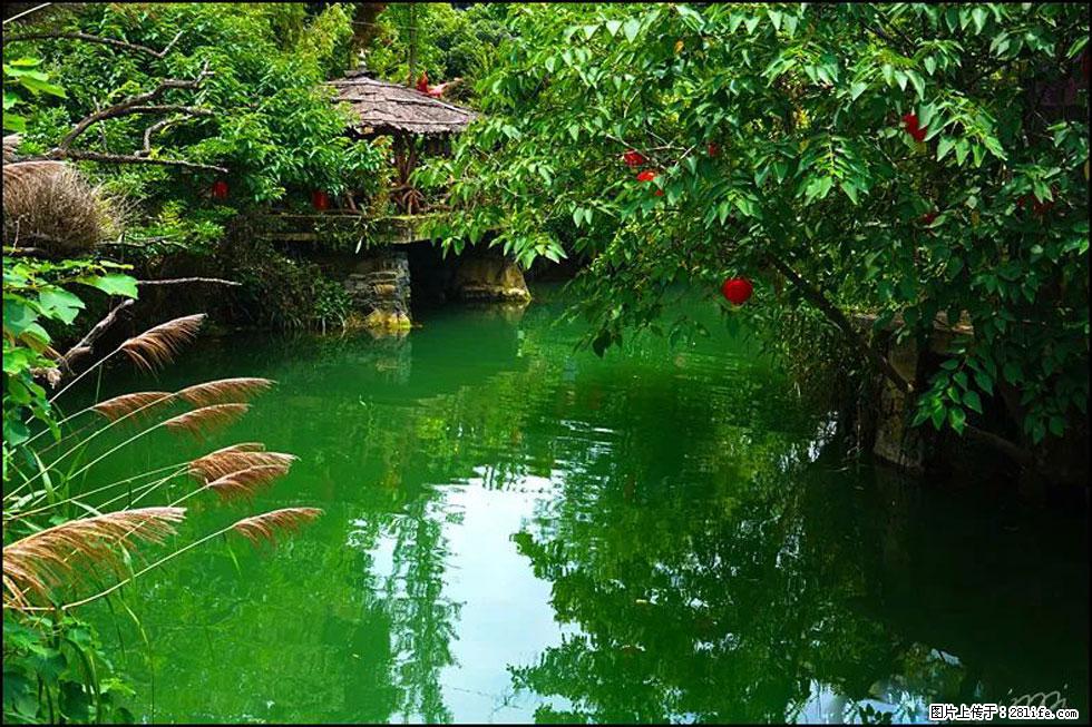 【春天,广西桂林灌阳县向您发出邀请!】如梦似幻莲溪庐 - 游山玩水 - 宜宾生活社区 - 宜宾28生活网 yb.28life.com