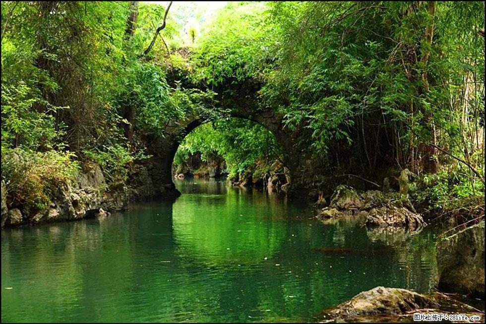 【春天,广西桂林灌阳县向您发出邀请!】如梦似幻莲溪庐 - 游山玩水 - 宜宾生活社区 - 宜宾28生活网 yb.28life.com