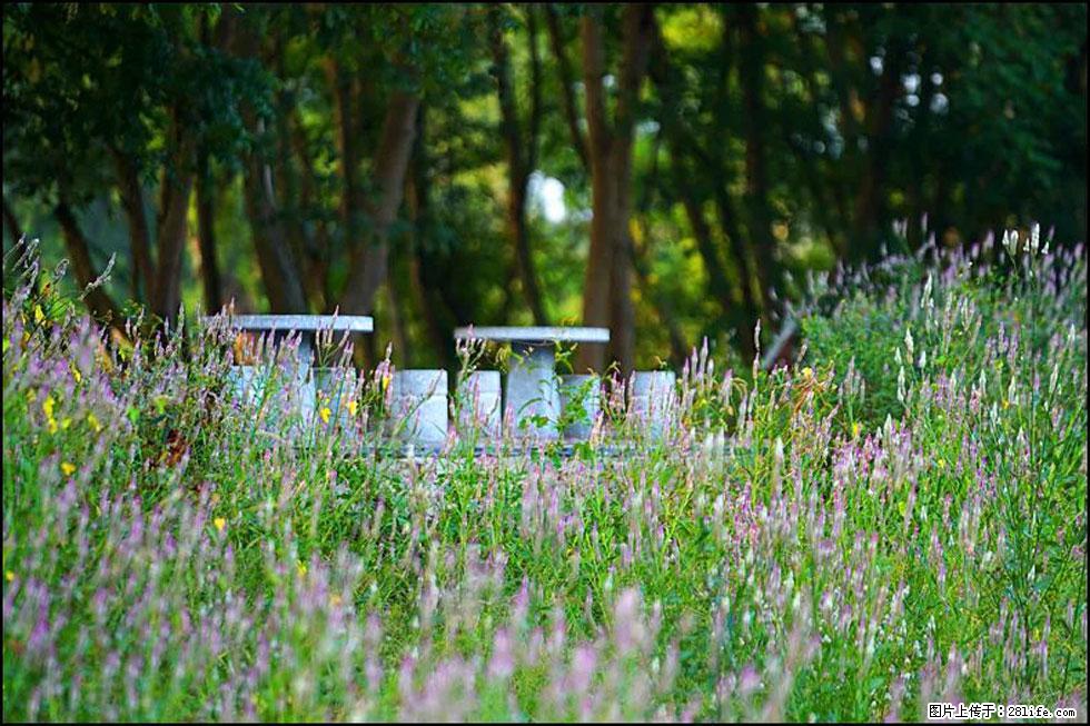 【春天,广西桂林灌阳县向您发出邀请!】熊家寨湿地公园 - 游山玩水 - 宜宾生活社区 - 宜宾28生活网 yb.28life.com