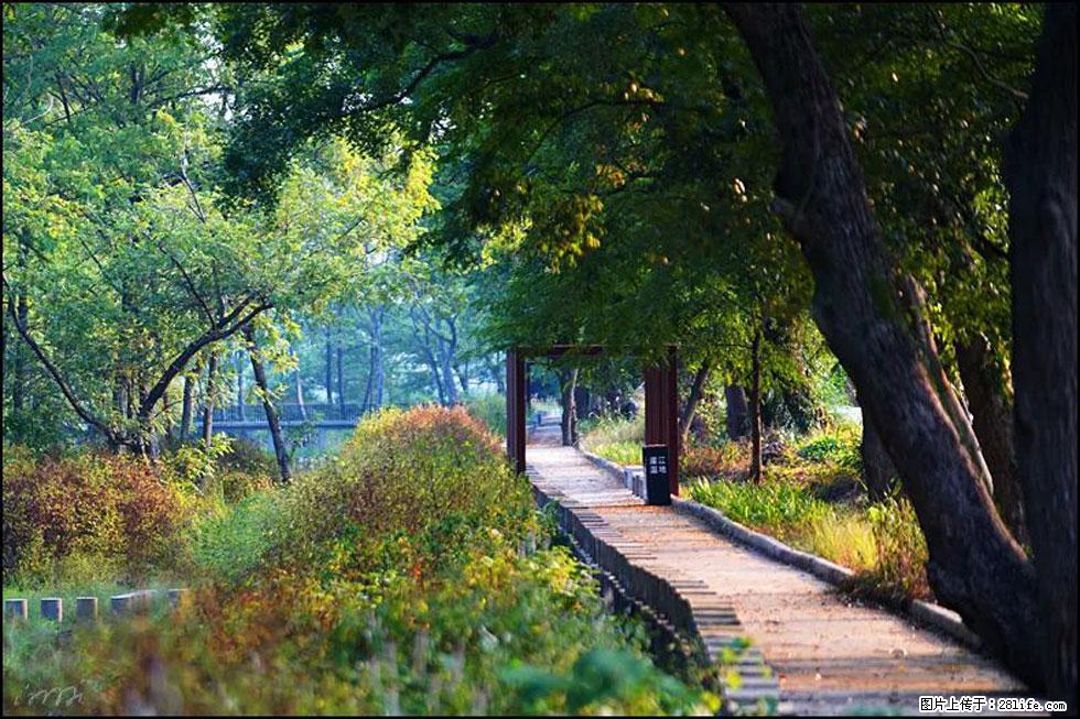 【春天,广西桂林灌阳县向您发出邀请!】熊家寨湿地公园 - 游山玩水 - 宜宾生活社区 - 宜宾28生活网 yb.28life.com