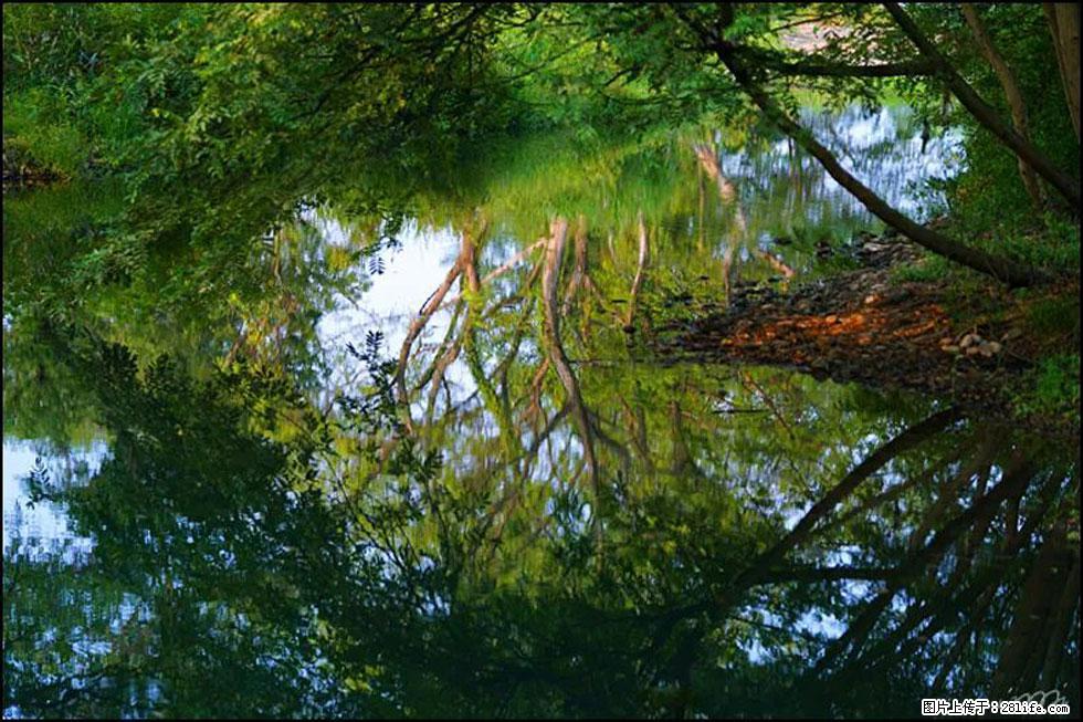 【春天,广西桂林灌阳县向您发出邀请!】熊家寨湿地公园 - 游山玩水 - 宜宾生活社区 - 宜宾28生活网 yb.28life.com