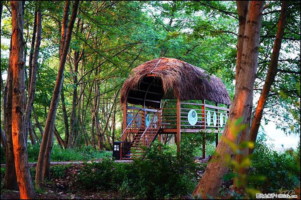 【春天,广西桂林灌阳县向您发出邀请!】熊家寨湿地公园 - 游山玩水 - 宜宾生活社区 - 宜宾28生活网 yb.28life.com