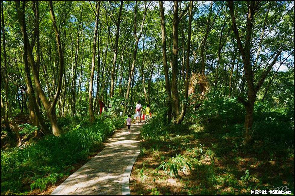 【春天,广西桂林灌阳县向您发出邀请!】熊家寨湿地公园 - 游山玩水 - 宜宾生活社区 - 宜宾28生活网 yb.28life.com