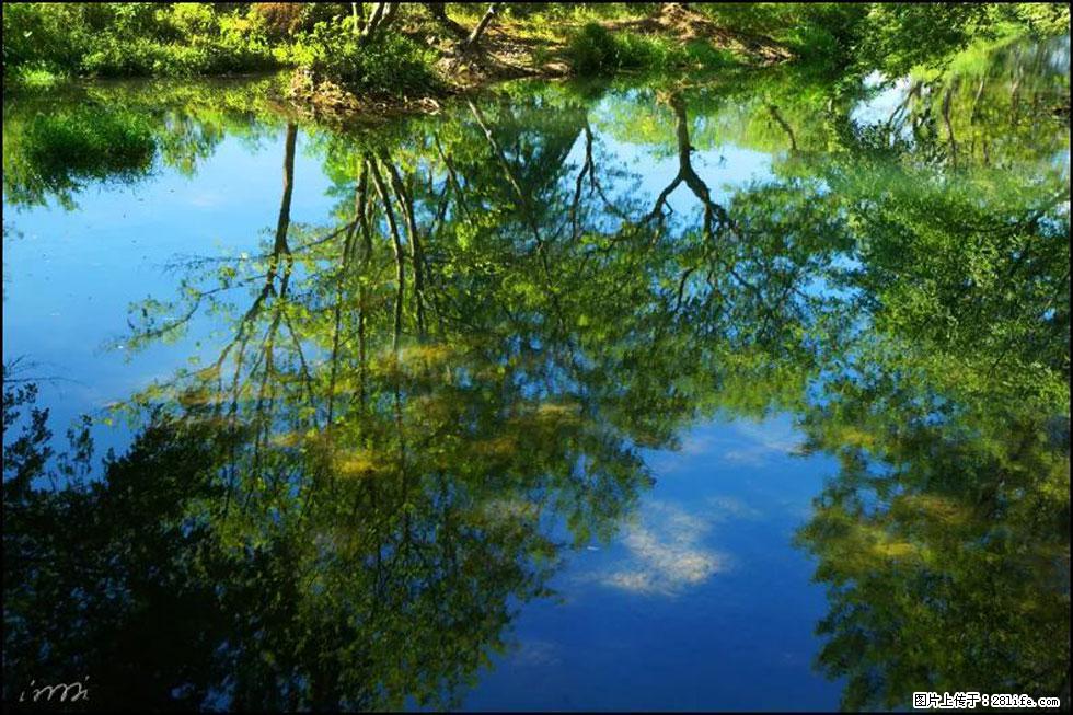 【春天,广西桂林灌阳县向您发出邀请!】熊家寨湿地公园 - 游山玩水 - 宜宾生活社区 - 宜宾28生活网 yb.28life.com