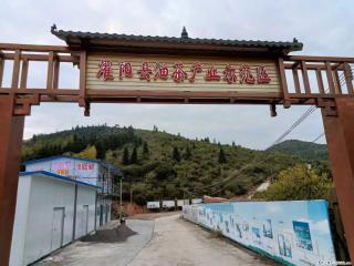 【灌阳县油茶产业示范区】一个有着充实的精神生活的人，对待身外之物自会有一种淡泊的态度 - 宜宾28生活网 yb.28life.com