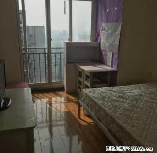 鑫空间精装两室 价格一室的价格 欢迎来看哦！ - 宜宾28生活网 yb.28life.com