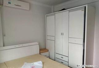 南门桥头集义街精装一室一厅+家具家电全齐+拎包入住 - 宜宾28生活网 yb.28life.com