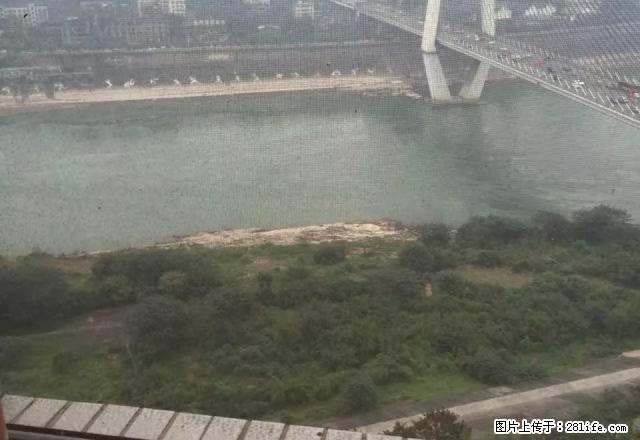 一中标准三房江景房家电全齐只租1800元 木地板 - 房屋出租 - 房屋租售 - 宜宾分类信息 - 宜宾28生活网 yb.28life.com