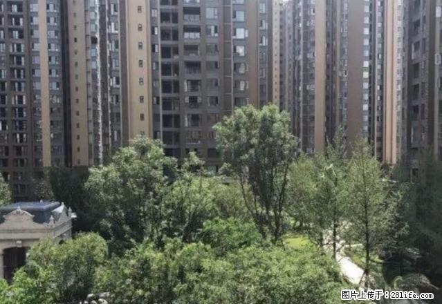 邦泰国际社区 精装2室 拎包入住 - 房屋出租 - 房屋租售 - 宜宾分类信息 - 宜宾28生活网 yb.28life.com