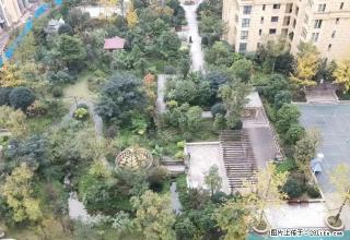 南岸莱茵河畔龙润国际精装大两室家具家电全齐全中庭拎包入住！ - 宜宾28生活网 yb.28life.com