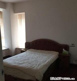 南岸东区繁华地带两室出租家具家电齐全 - 宜宾28生活网 yb.28life.com