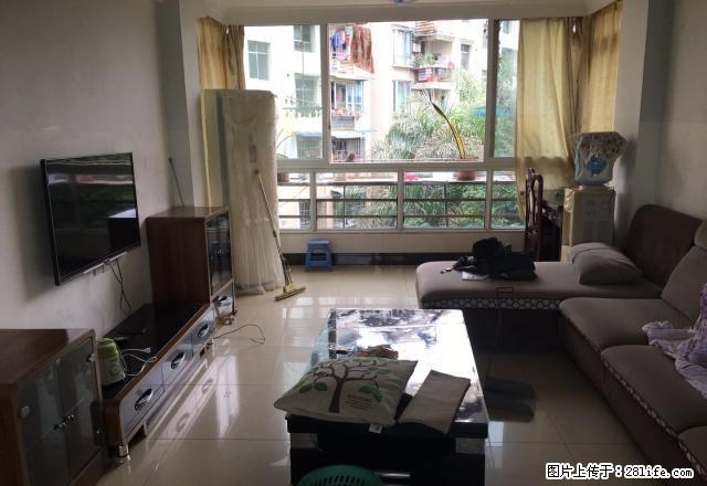 莱茵河畔旁精装大两房急租 急租 - 房屋出租 - 房屋租售 - 宜宾分类信息 - 宜宾28生活网 yb.28life.com