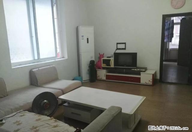 东楼街5楼1室1厅1卫《精装全齐》拎包入住1000 - 房屋出租 - 房屋租售 - 宜宾分类信息 - 宜宾28生活网 yb.28life.com