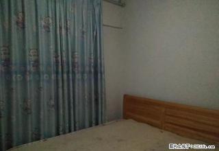 金凤凰B区整租1 6 0 0 长租有少 - 宜宾28生活网 yb.28life.com