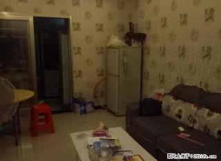 叙府路西段 稀有好房出租 商圈好 交通方便 手速慢无 - 宜宾28生活网 yb.28life.com