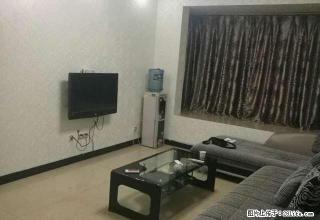 可月付西区财富中心 鑫空间 标准一室一厅 空调两台 拎包入住 - 宜宾28生活网 yb.28life.com