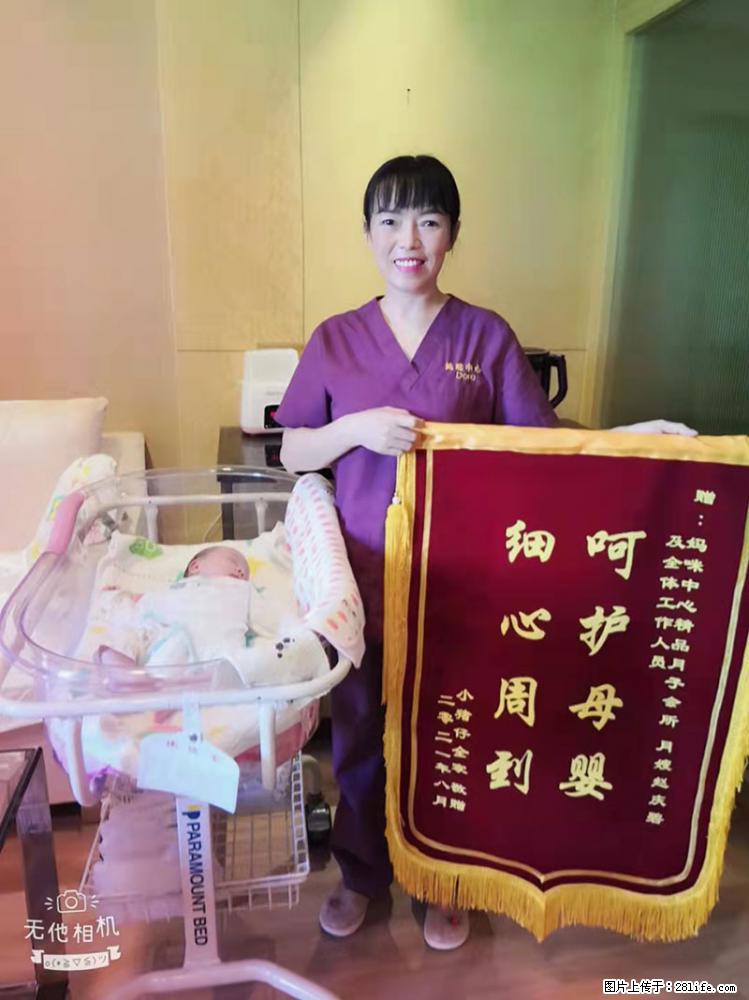 上海高端月子会所招新手月嫂，零基础带教，包吃住 - 职场交流 - 宜宾生活社区 - 宜宾28生活网 yb.28life.com