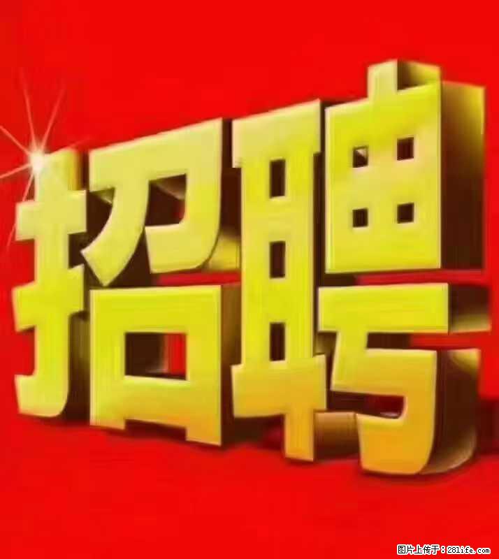 【东莞市威萨电子科技有限公司】公司直招:外贸业务、仓管员、跟单文员、普工 - 职场交流 - 宜宾生活社区 - 宜宾28生活网 yb.28life.com