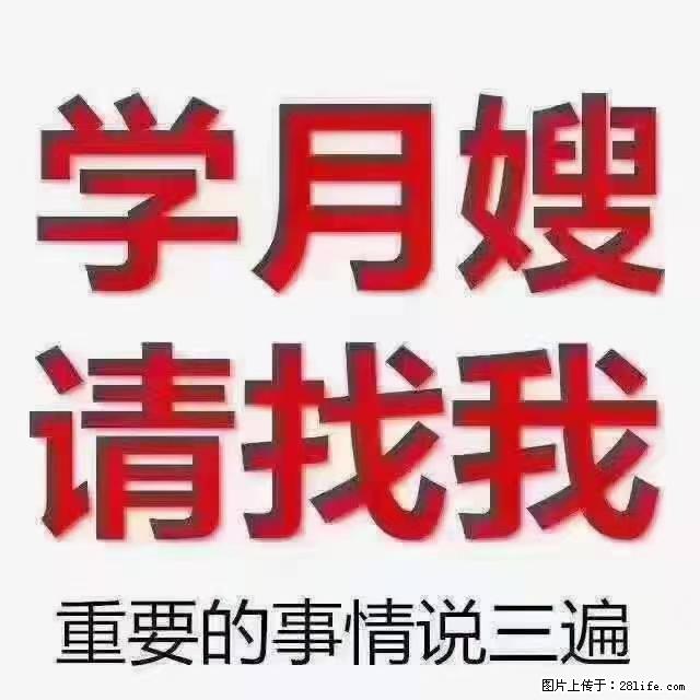 【招聘】月嫂，上海徐汇区 - 职场交流 - 宜宾生活社区 - 宜宾28生活网 yb.28life.com