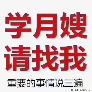 【招聘】月嫂，上海徐汇区 - 宜宾28生活网 yb.28life.com