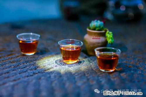 时间果百年古树2025年春红茶 - 购物交流 - 宜宾生活社区 - 宜宾28生活网 yb.28life.com