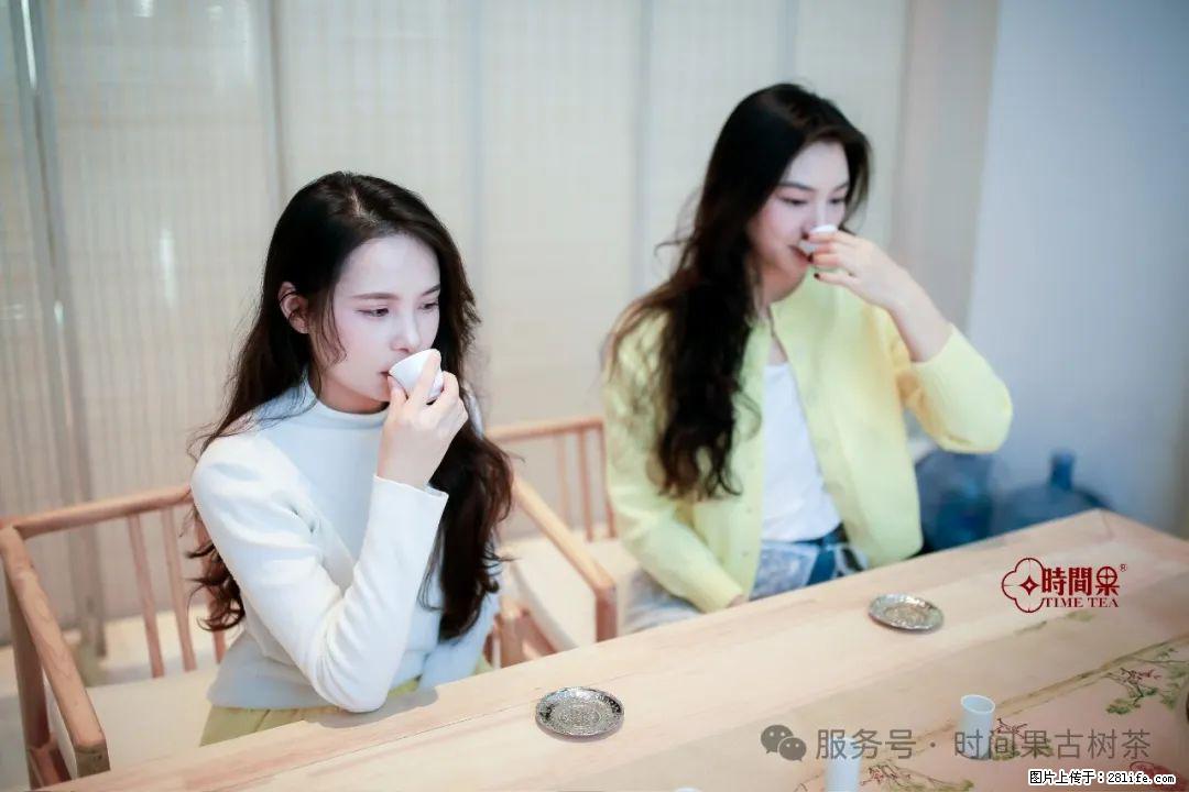 时间果百年古树龙珠普洱生茶 - 购物交流 - 宜宾生活社区 - 宜宾28生活网 yb.28life.com