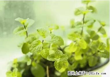 晕车、脚气、牙齿变黄、皮肤粗糙?学会这些三分钟搞定! - 宜宾生活资讯 - 宜宾28生活网 yb.28life.com