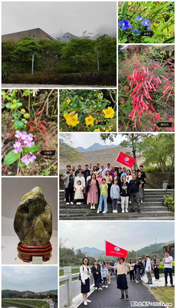 “粤灌文化 美好生活”油茶文化主题活动在广东深圳成功举办 - 宜宾生活资讯 - 宜宾28生活网 yb.28life.com