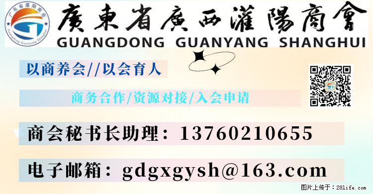 “粤灌文化 美好生活”油茶文化主题活动在广东深圳成功举办 - 宜宾生活资讯 - 宜宾28生活网 yb.28life.com