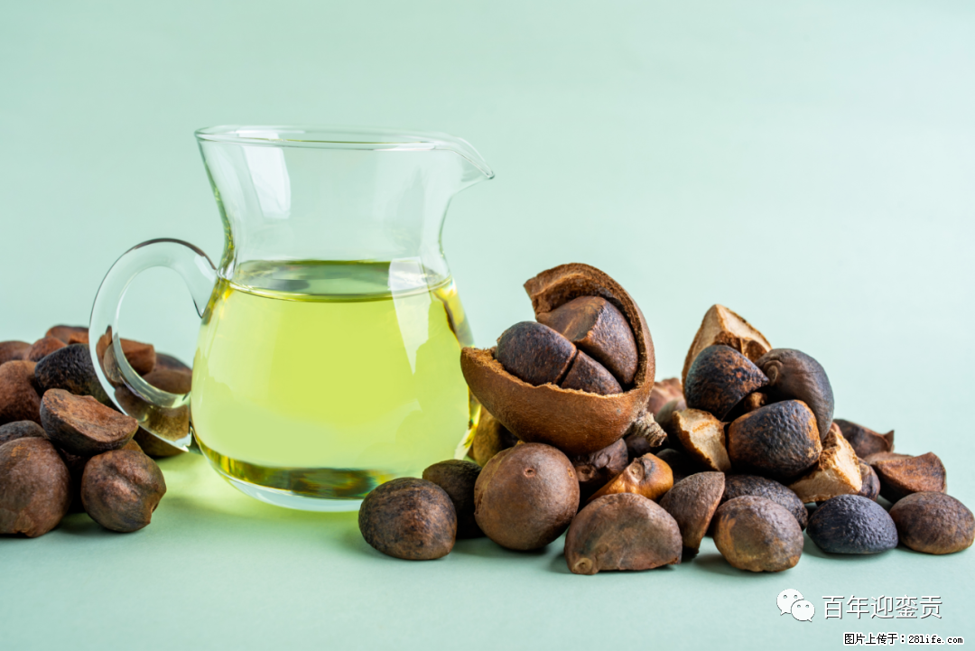 揭秘茶油的5大核心营养成分！被称为人体健康的“守护盾”！ - 宜宾生活资讯 - 宜宾28生活网 yb.28life.com