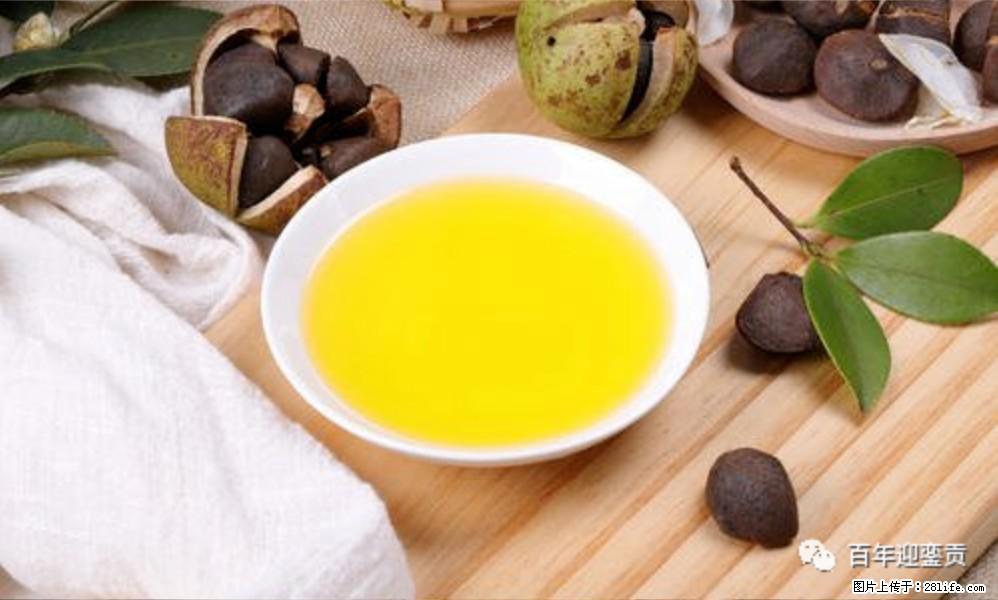 揭秘茶油的5大核心营养成分！被称为人体健康的“守护盾”！ - 宜宾生活资讯 - 宜宾28生活网 yb.28life.com