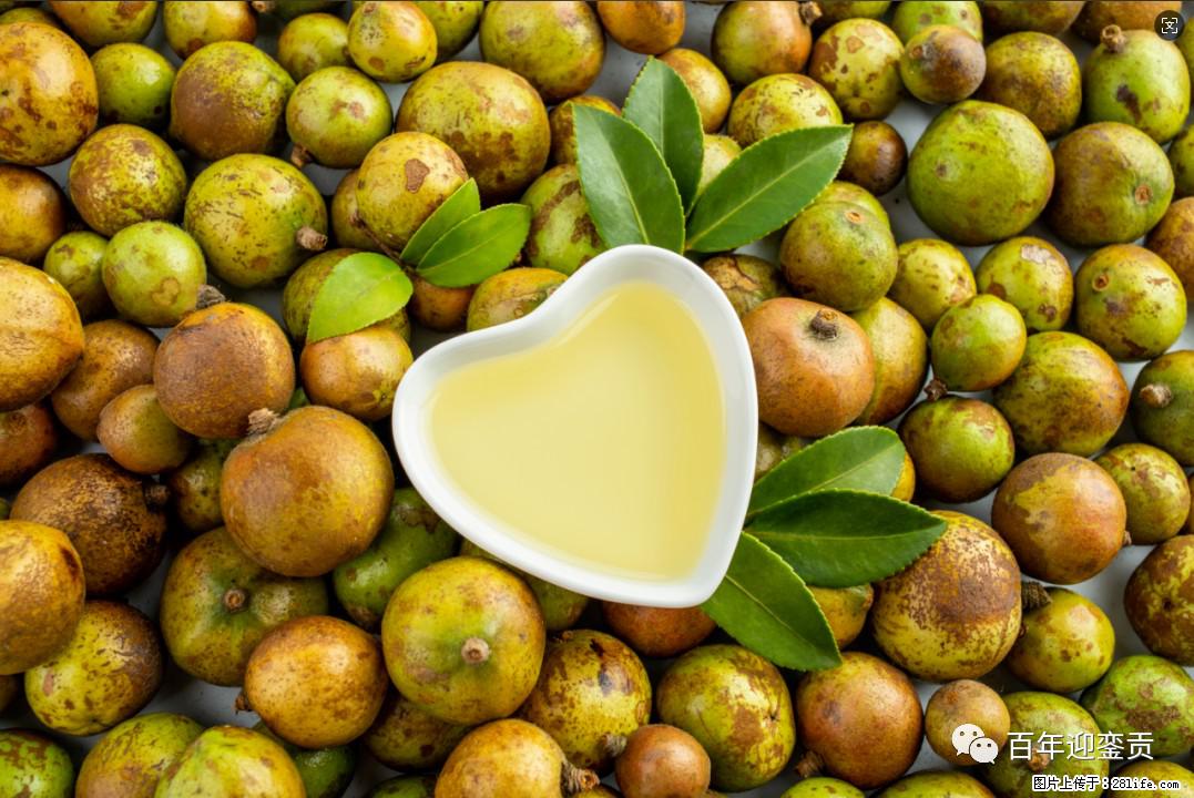 世界没有真相，只有认知，最好的食用油是中国的山茶油！ - 宜宾生活资讯 - 宜宾28生活网 yb.28life.com