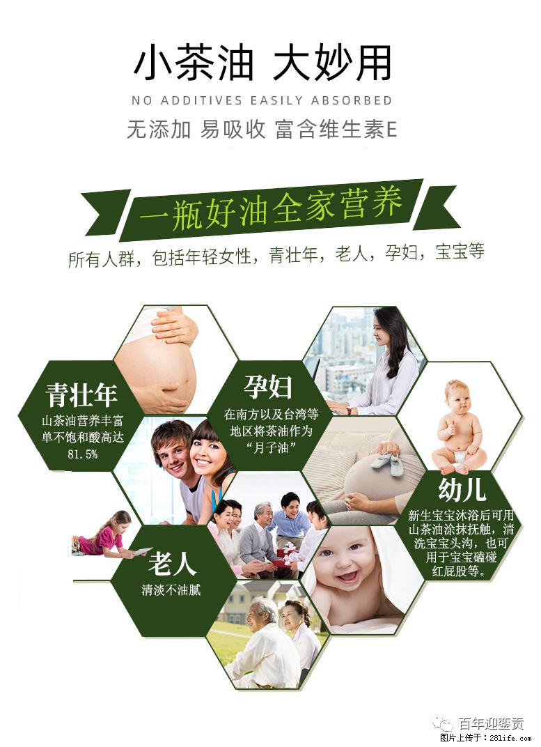 世界没有真相，只有认知，最好的食用油是中国的山茶油！ - 宜宾生活资讯 - 宜宾28生活网 yb.28life.com