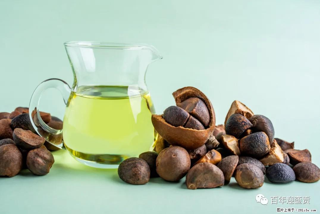 世界没有真相，只有认知，最好的食用油是中国的山茶油！ - 宜宾生活资讯 - 宜宾28生活网 yb.28life.com