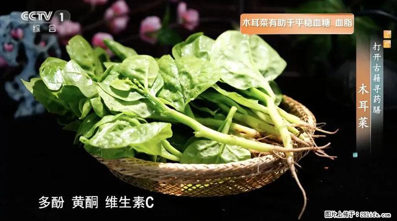比牛奶补钙还厉害!凉血解毒、稳血糖...这菜冬天必吃,很多人却当草 - 宜宾生活资讯 - 宜宾28生活网 yb.28life.com