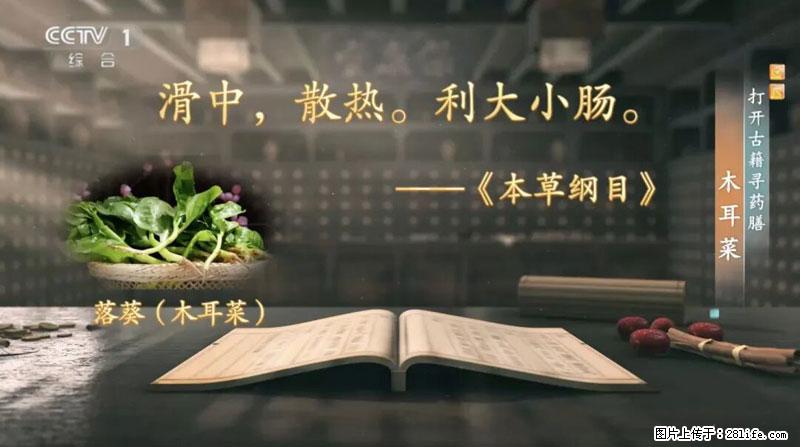 比牛奶补钙还厉害!凉血解毒、稳血糖...这菜冬天必吃,很多人却当草 - 宜宾生活资讯 - 宜宾28生活网 yb.28life.com