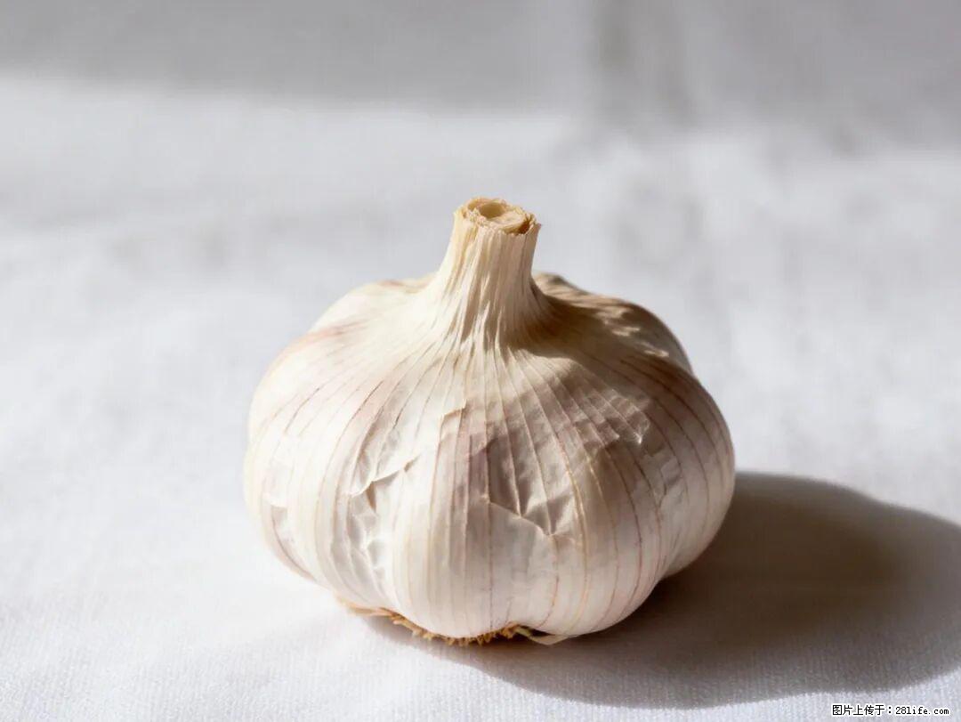 关于大蒜，除了“天然抗生素”，这4个谣言更该警惕! - 宜宾生活资讯 - 宜宾28生活网 yb.28life.com