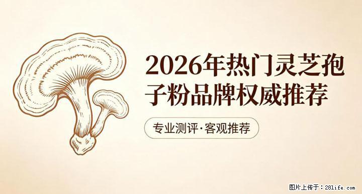灵芝孢子粉含量越高越有效？2026 年七款热门品牌深度实测，肠胃敏感者避坑指南 - 宜宾生活资讯 - 宜宾28生活网 yb.28life.com